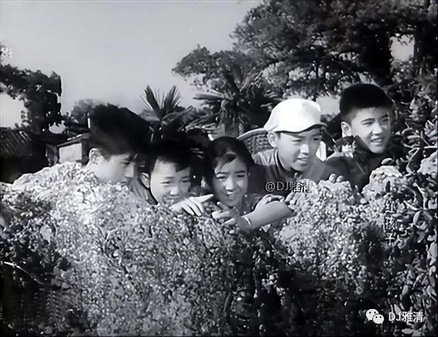纪念 | 著名词作家乔羽去世，回顾歌曲《我的祖国》诞生记(图2)